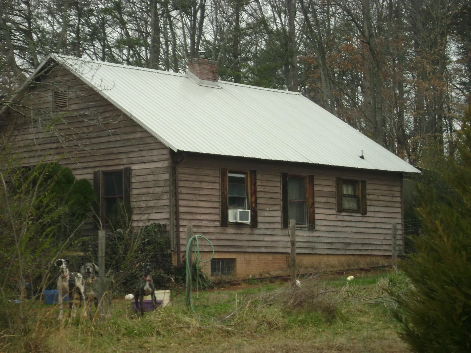 White metal roof on an old wood sided farmhouse, from a Asphalt Shingle Roof Repair job in Mackinaw